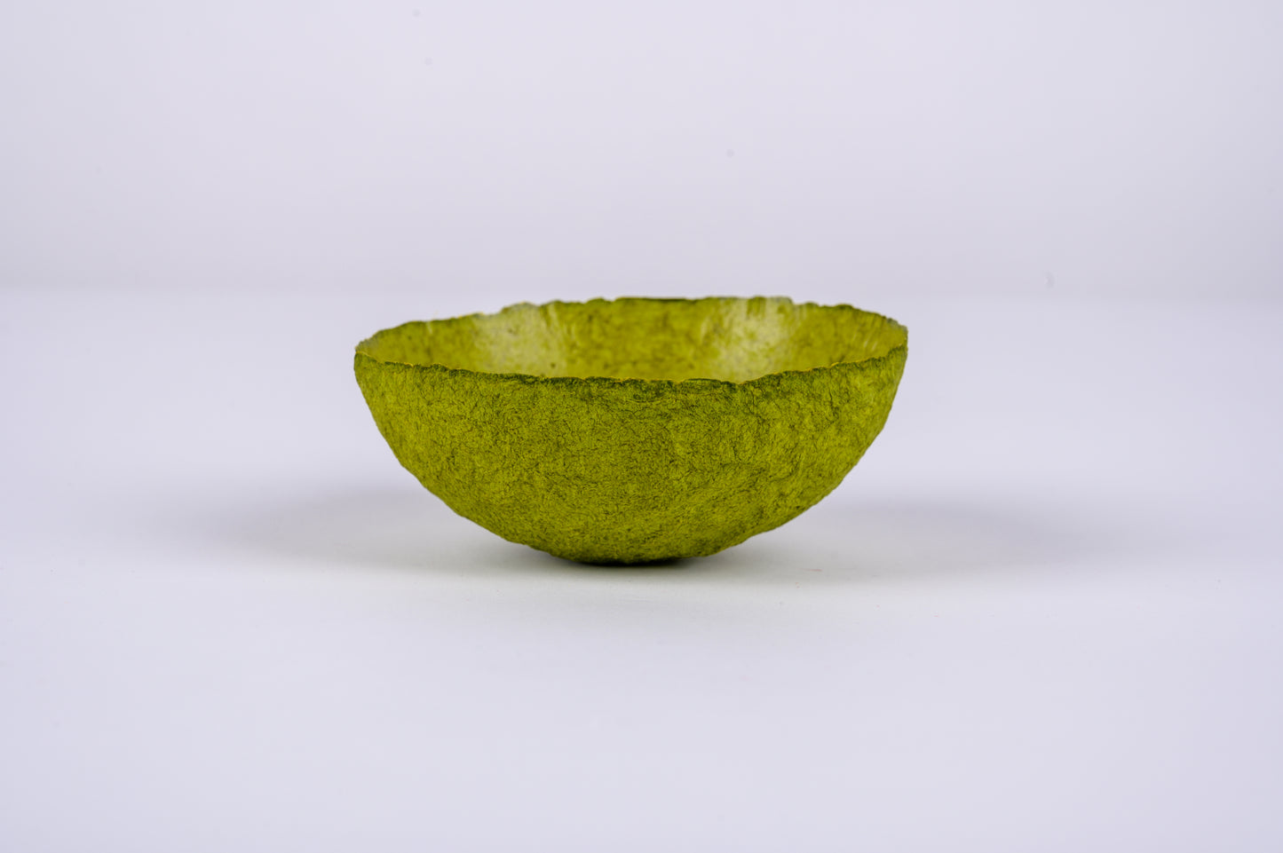 Paper Bowl - green lichens - size small