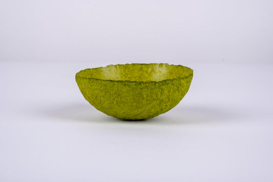 Paper Bowl - green lichens - size small