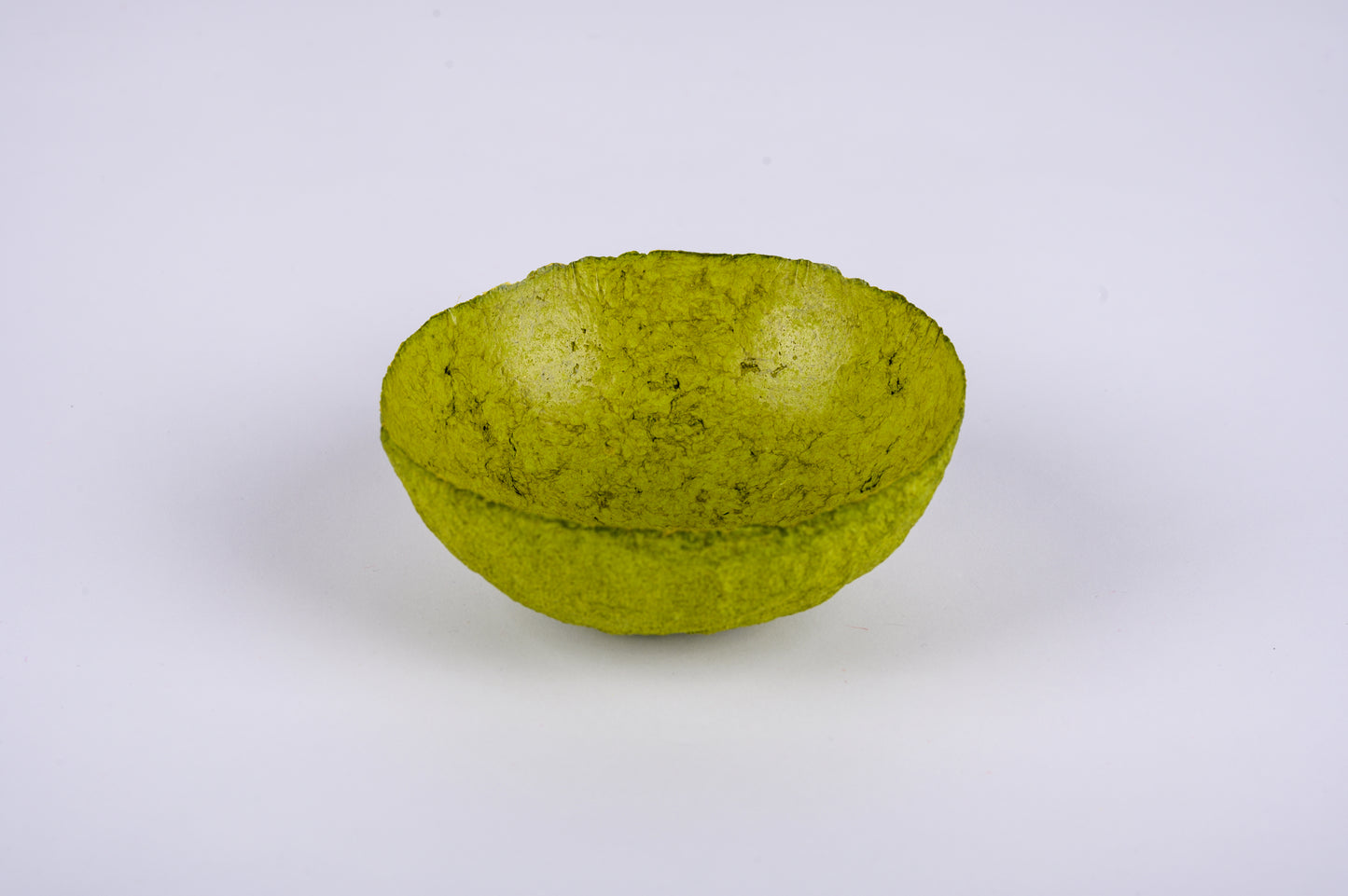 Paper Bowl - green lichens - size small